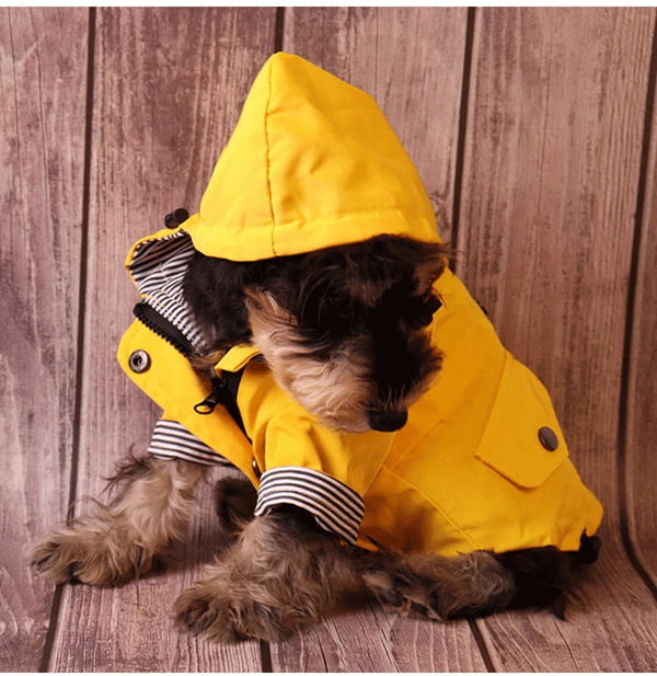 Waterproof Dog Raincoat