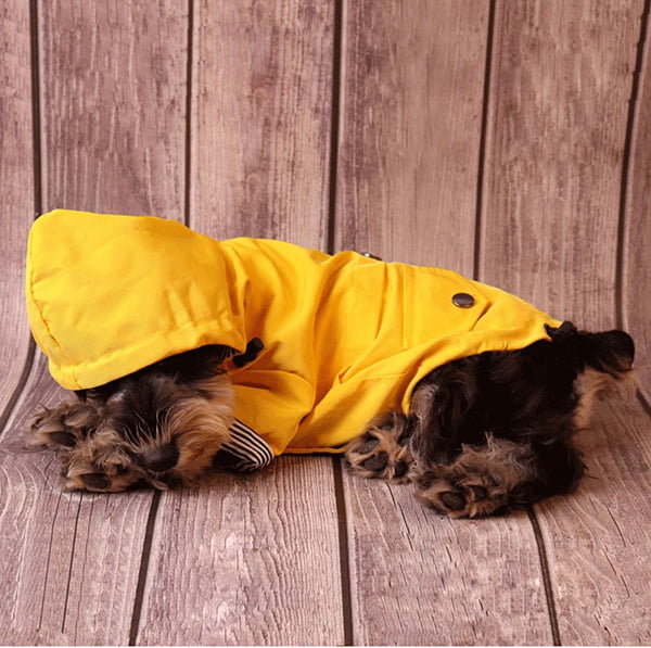Waterproof Dog Raincoat