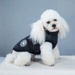 Waterproof Dog Winter Jacket With Harness