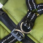 Waterproof Dog Winter Jacket With Harness