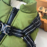 Waterproof Dog Winter Jacket With Harness
