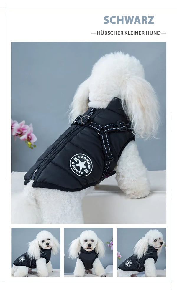 Waterproof Dog Winter Jacket With Harness