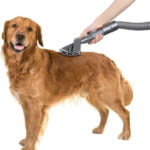 Pet Groom Vacuum Cleaner Attachment for Dyson