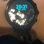 Camelia SmartWatch photo review