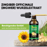 Ingwer Nagelpflegeserum